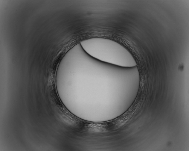 X0000100940367200806241208