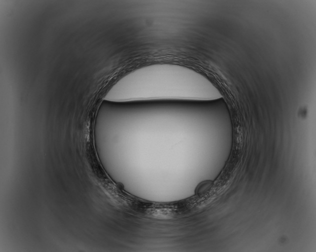 X0000100940368200806241208