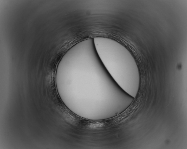 X0000100940369200806241208
