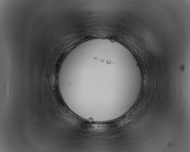 X0000100940371200806241208