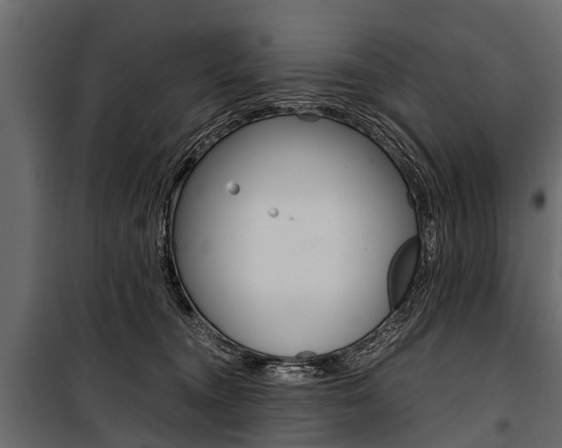 X0000100940372200806241208