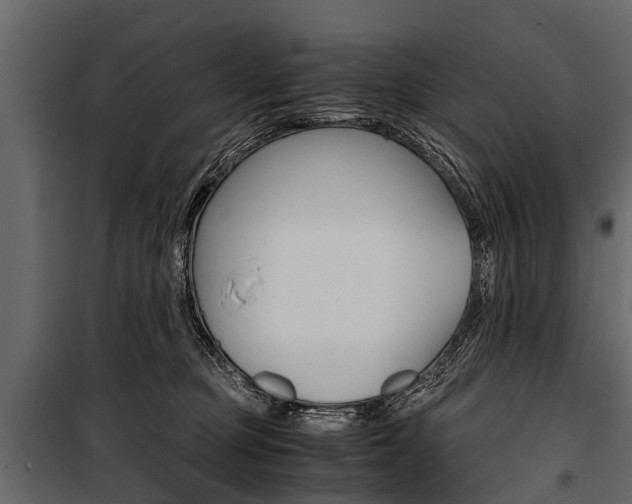 X0000100940373200806241208