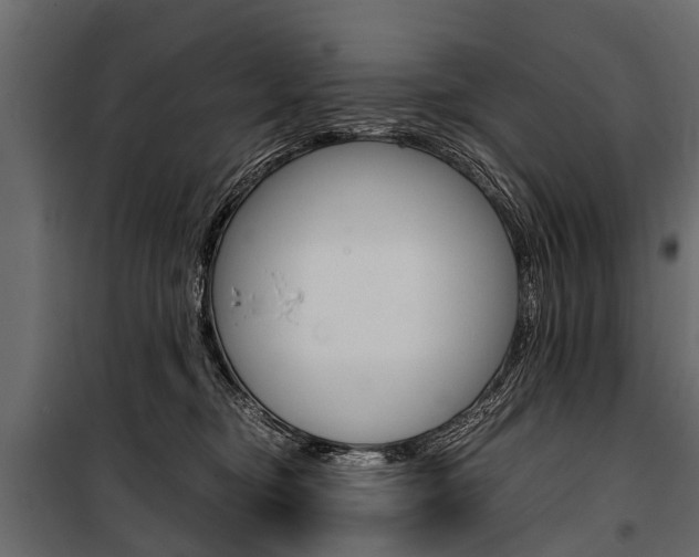 X0000100940374200806241208