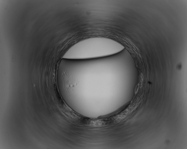 X0000100940376200806241208