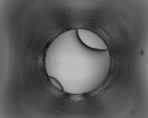 X0000100940377200806241208