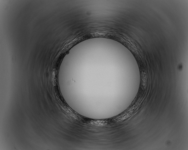 X0000100940378200806241208