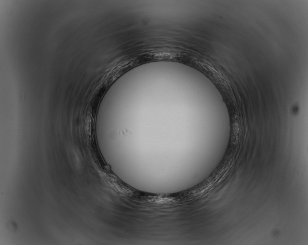 X0000100940379200806241208