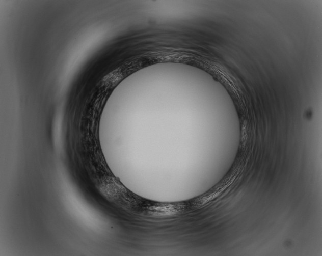 X0000100940381200806241208