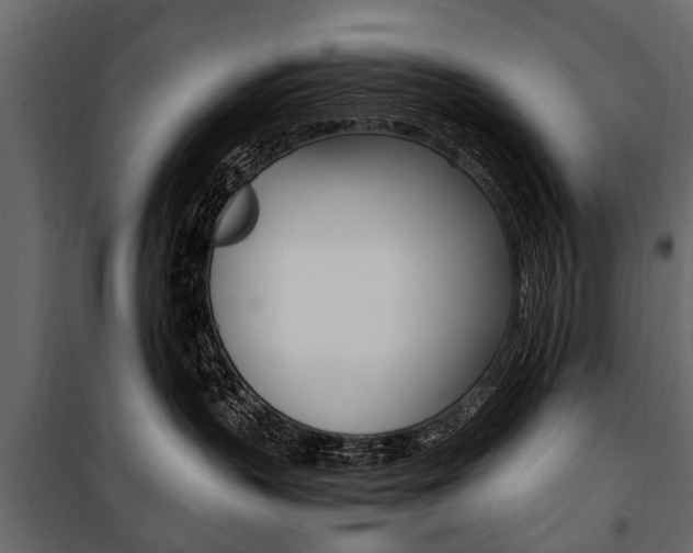 X0000100940383200806241208