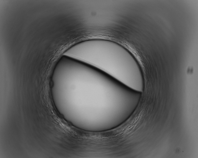 X0000100940385200806241207