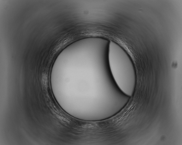 X0000100940386200806241207