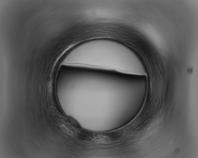 X0000100940387200806241207