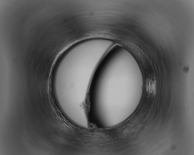 X0000100940388200806241207