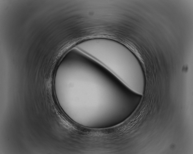 X0000100940389200806241207