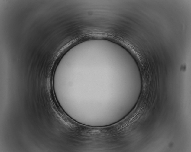 X0000100940390200806241207
