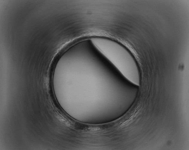 X0000100940391200806241207