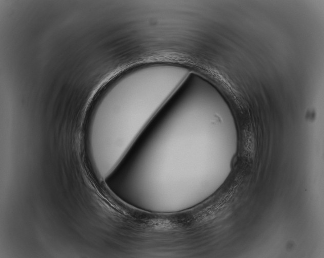 X0000100940392200806241207