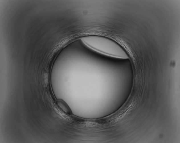 X0000100940393200806241207