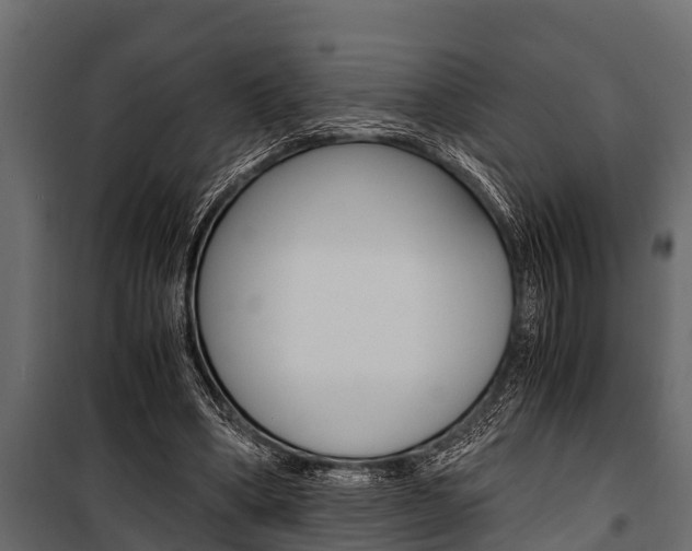 X0000100940394200806241207