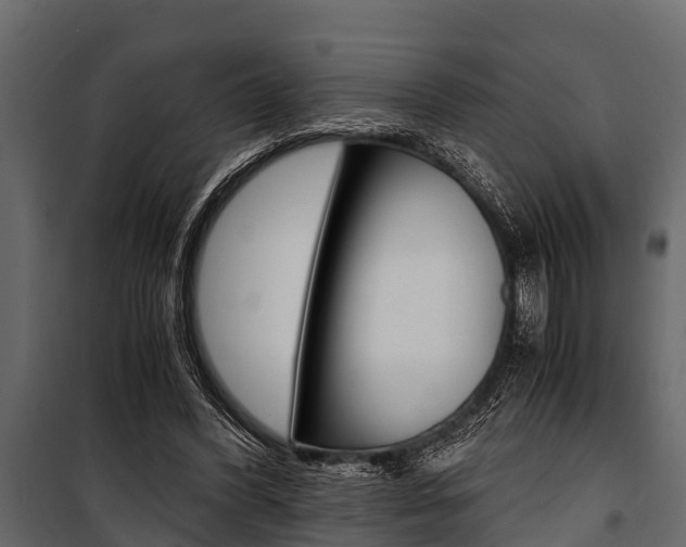 X0000100940396200806241207