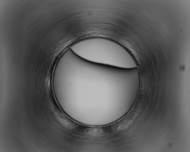 X0000100940398200806241207