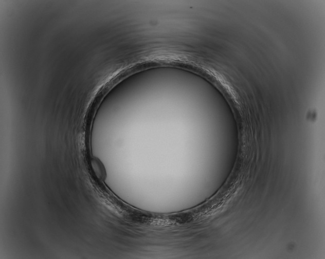 X0000100940399200806241207