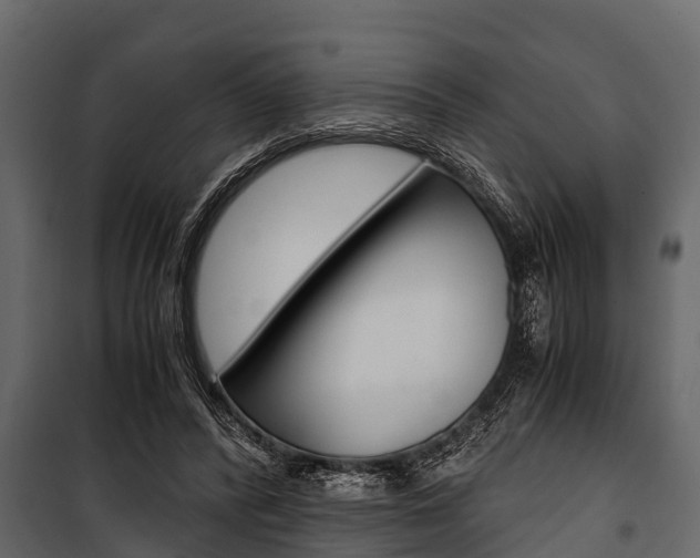 X0000100940400200806241207