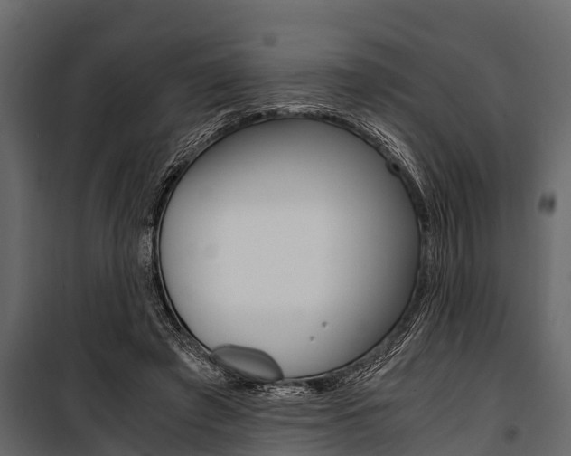 X0000100940401200806241207