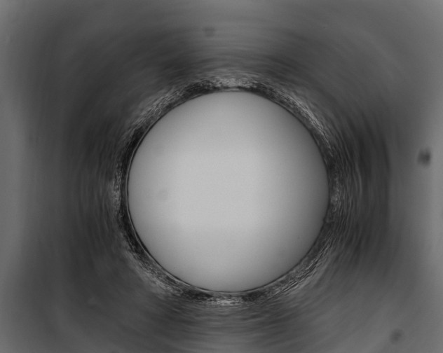 X0000100940402200806241207