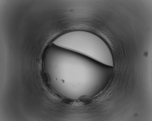 X0000100940403200806241207