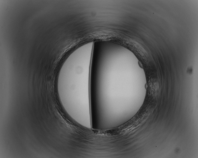 X0000100940404200806241207