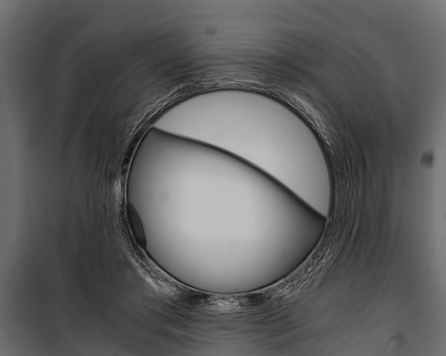 X0000100940405200806241207