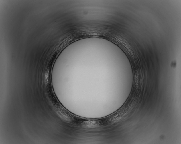 X0000100940406200806241207
