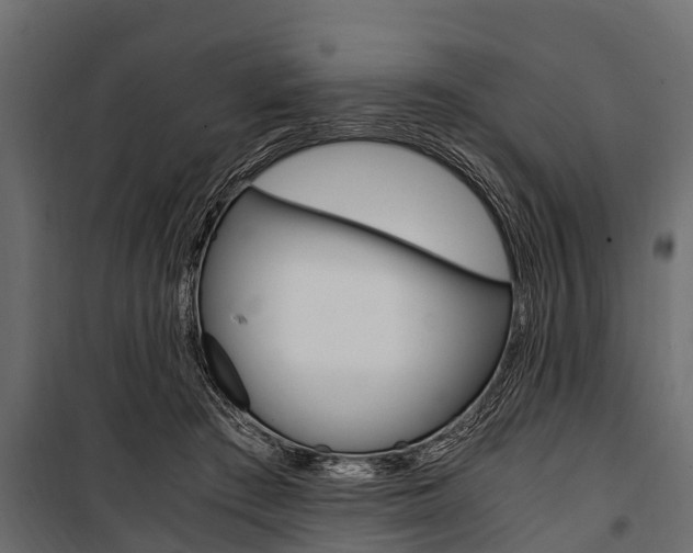 X0000100940409200806241207
