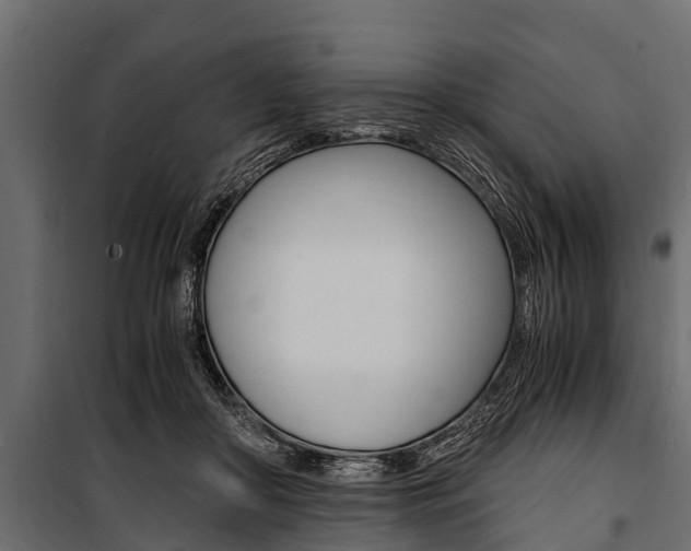 X0000100940410200806241207