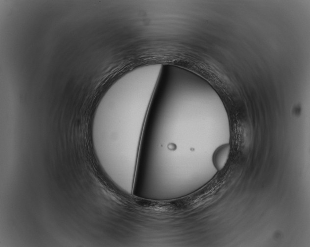 X0000100940412200806241207