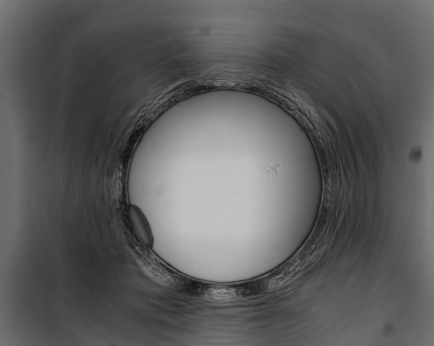 X0000100940413200806241207