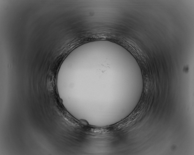 X0000100940414200806241207
