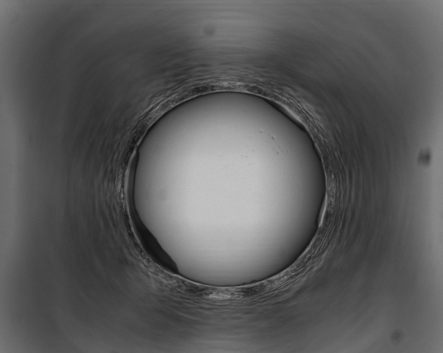 X0000100940415200806241207
