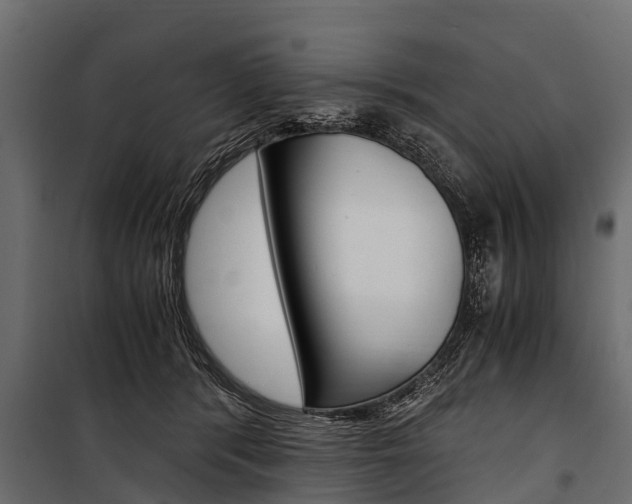 X0000100940416200806241207