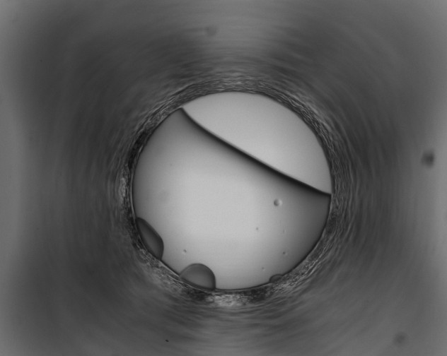 X0000100940417200806241207