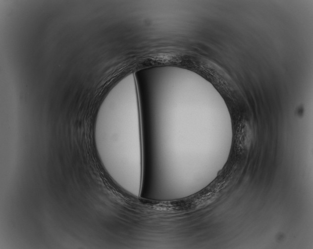 X0000100940420200806241207