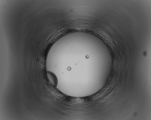 X0000100940421200806241207