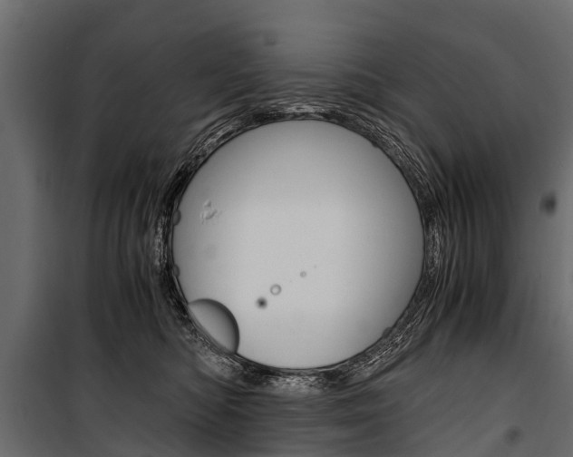 X0000100940422200806241207