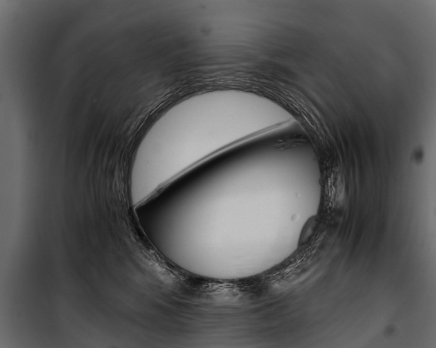 X0000100940424200806241207