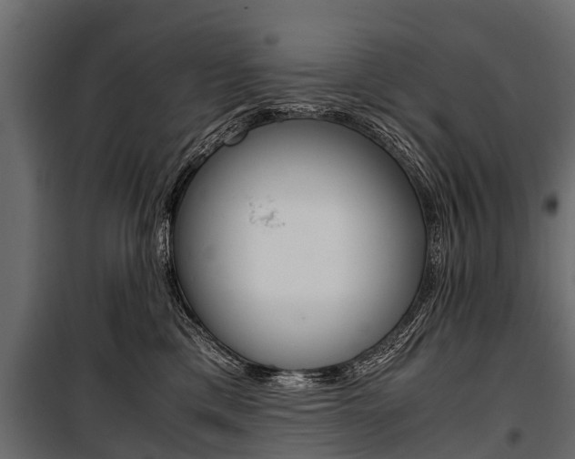 X0000100940425200806241207