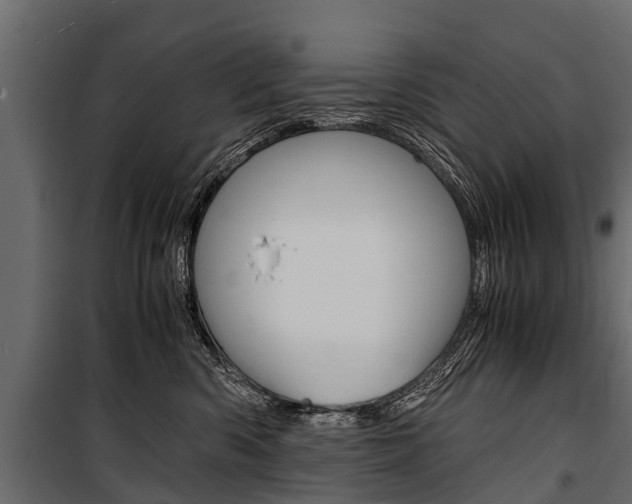 X0000100940426200806241207