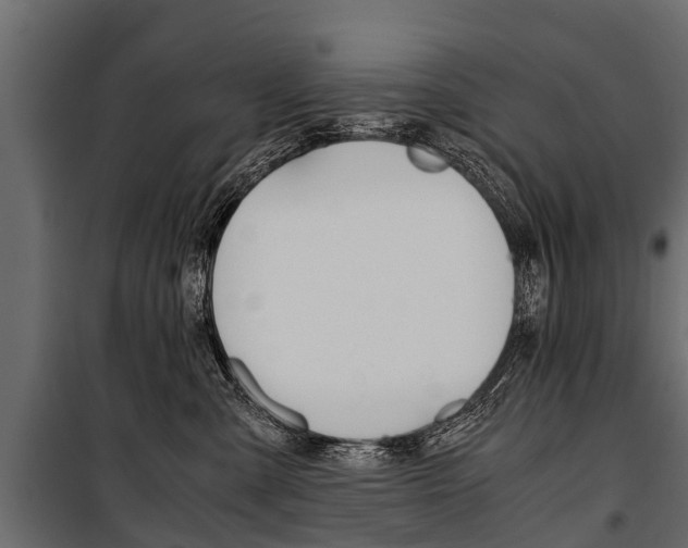 X0000100940427200806241207