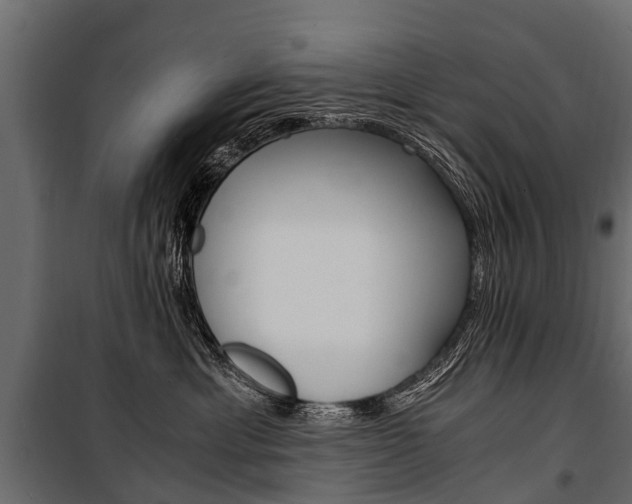 X0000100940429200806241206