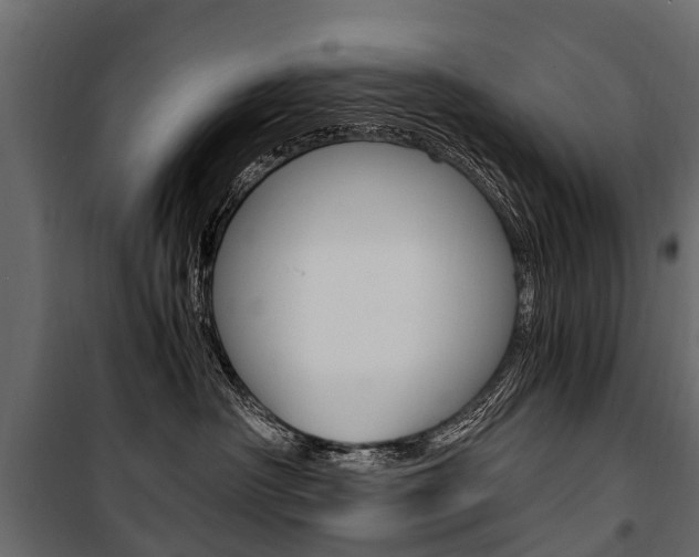 X0000100940430200806241206